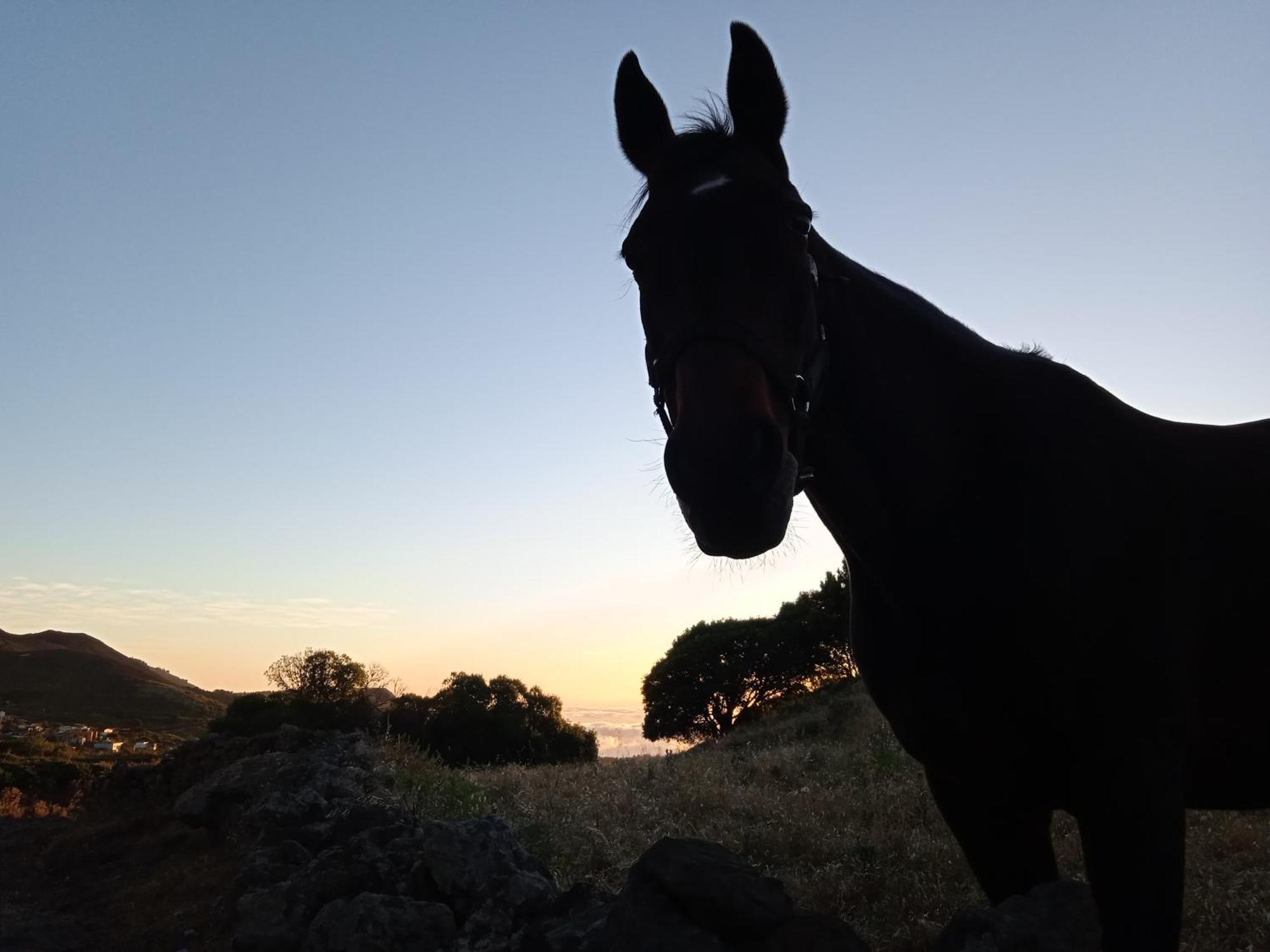 Casa Ben Abora Βίλα Las Rosas  Εξωτερικό φωτογραφία